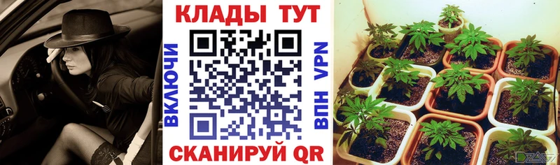 Наркошоп купить Cocaine  Меф мяу мяу  Канабис  Щёлкино