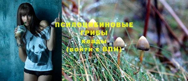 a pvp Корсаков