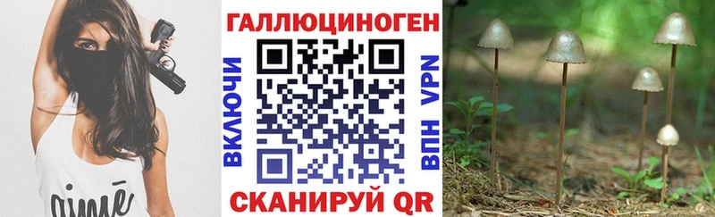 Купить закладки  Щёлкино  Галлюциногенные грибы ЛСД 