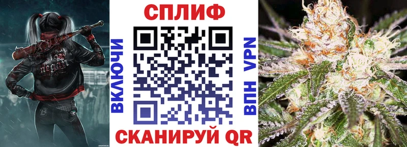 Купить где  Щёлкино  Бошки Шишки семена 